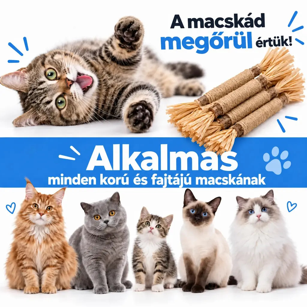 Vidatabi – Természetes fogtisztító rágcsák macskáknak