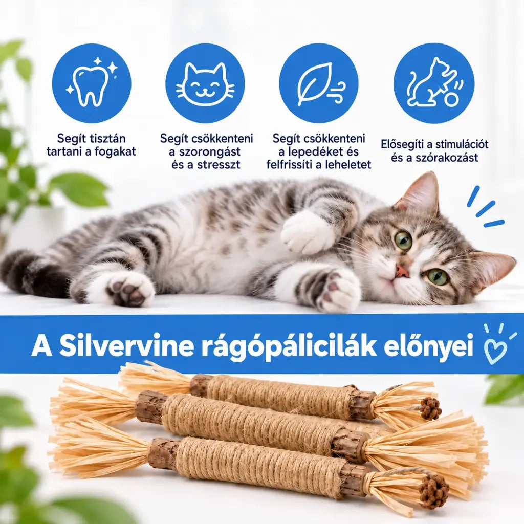 Vidatabi – Természetes fogtisztító rágcsák macskáknak